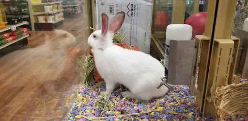 Pet Supply Store «Pet Supermarket», reviews and photos, 534 S Hunt Club Blvd, Apopka, FL 32703, USA