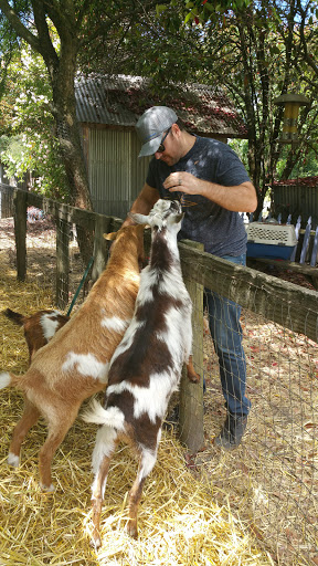Gift Shop «Rose & Thorn», reviews and photos, 10050 Bodega Hwy, Sebastopol, CA 95472, USA