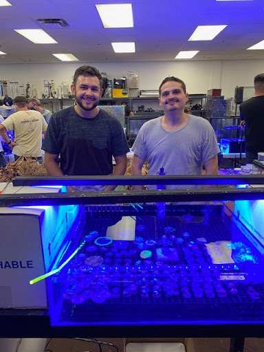 Tropical Fish Store «Discount Aquarium Fish and Reef», reviews and photos, 1301 E University Dr #128, Tempe, AZ 85281, USA