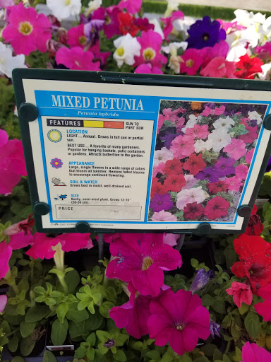 Florist «Lyndhurst Florist», reviews and photos, 5268 Mayfield Rd, Lyndhurst, OH 44124, USA