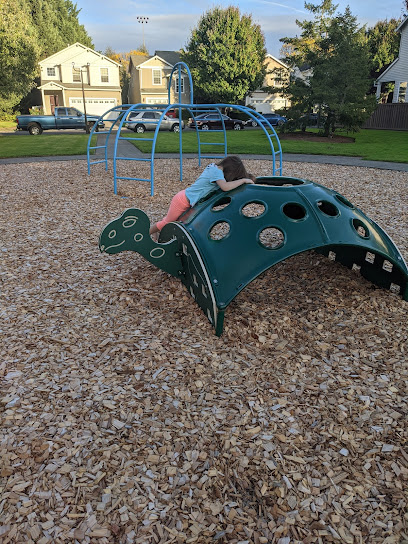 Turtle playground