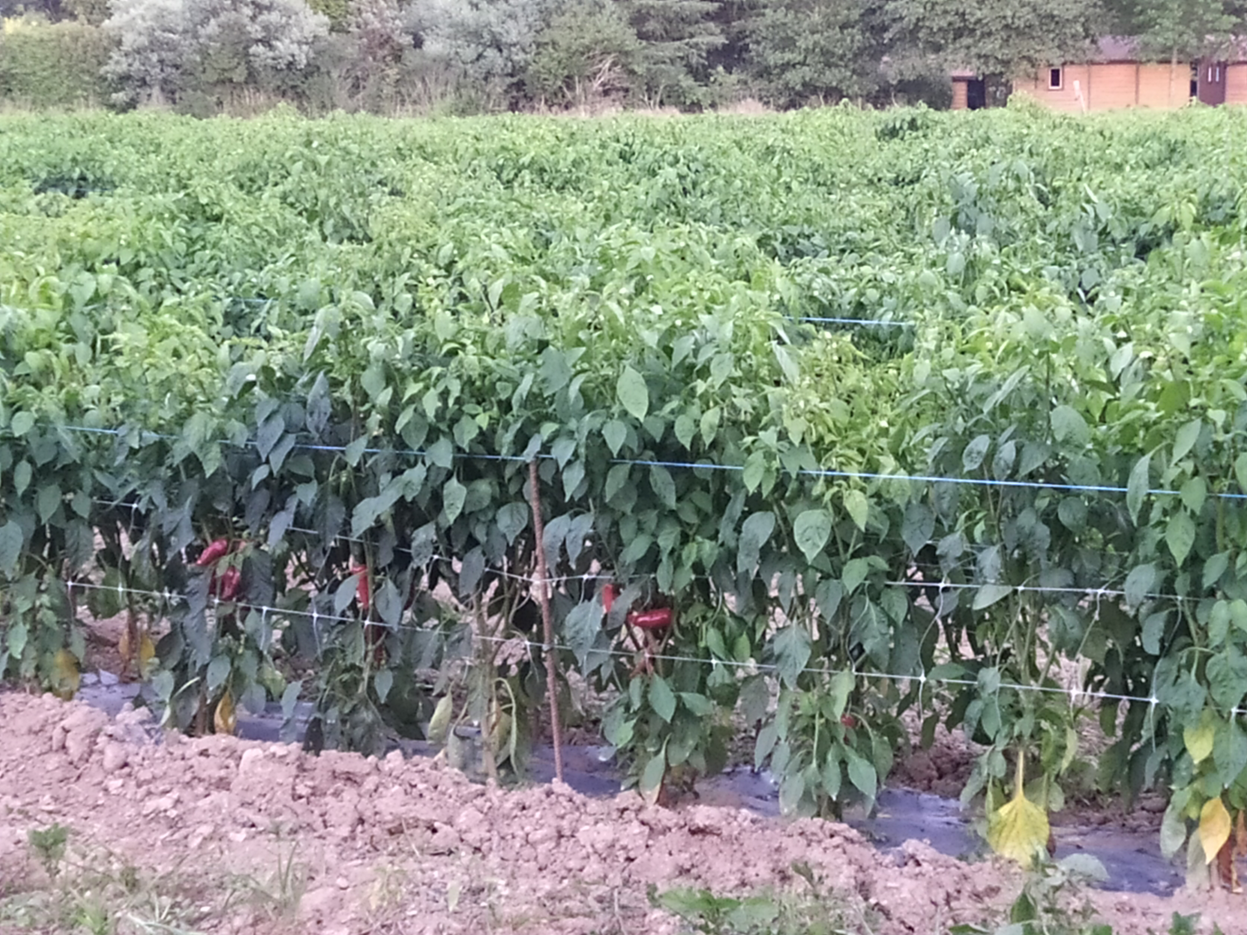 Photo n° 2 de l'avis de Natacha.o fait le 28/08/2019 à 07:51