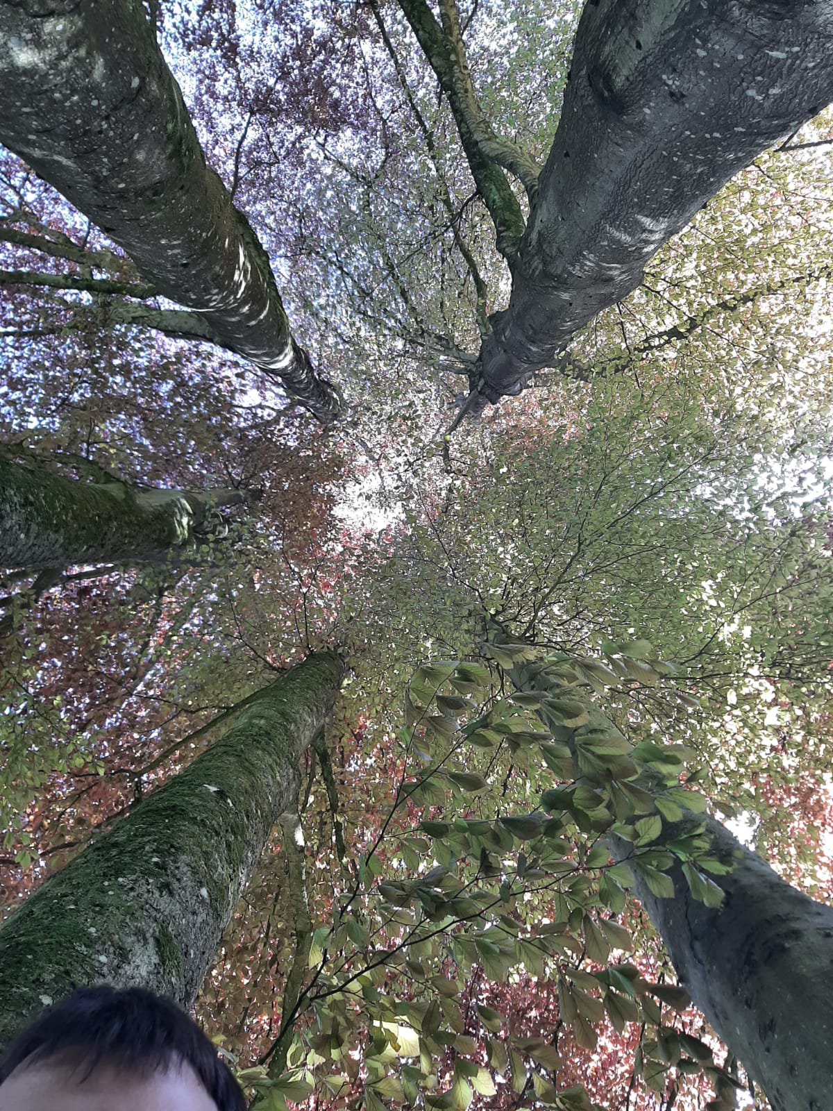 Photo n° 11 de l'avis de Louise.i fait le 04/05/2023 à 17:23