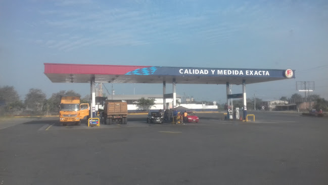 Opiniones de Petro Rios Limonal en San Vicente - Gasolinera