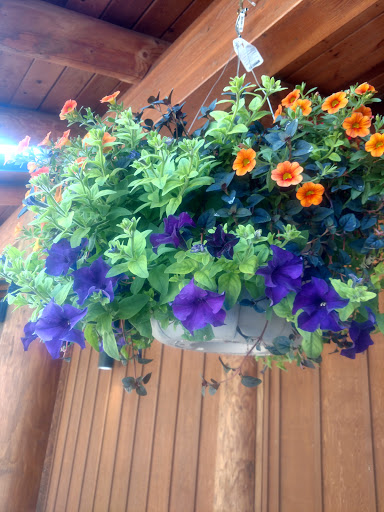 Casino «Lucky Dog Casino», reviews and photos, 19330 US-101, Skokomish, WA 98584, USA