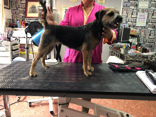 Peluquería Canina Chuchos & Cía Dog Grooming Salon