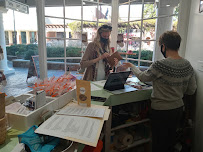 Fluffy's Pet Shop - Photo 9 - Car repair in Charlottesville, VA, Charlottesville