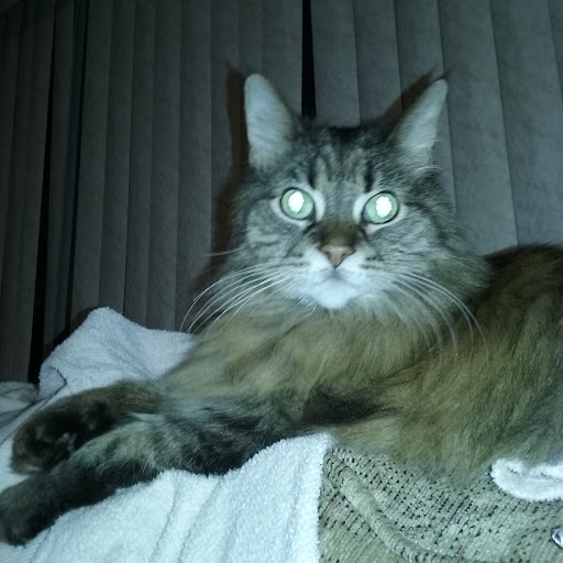 1460 W Algonquin Rd, Palatine, IL 60067, USA