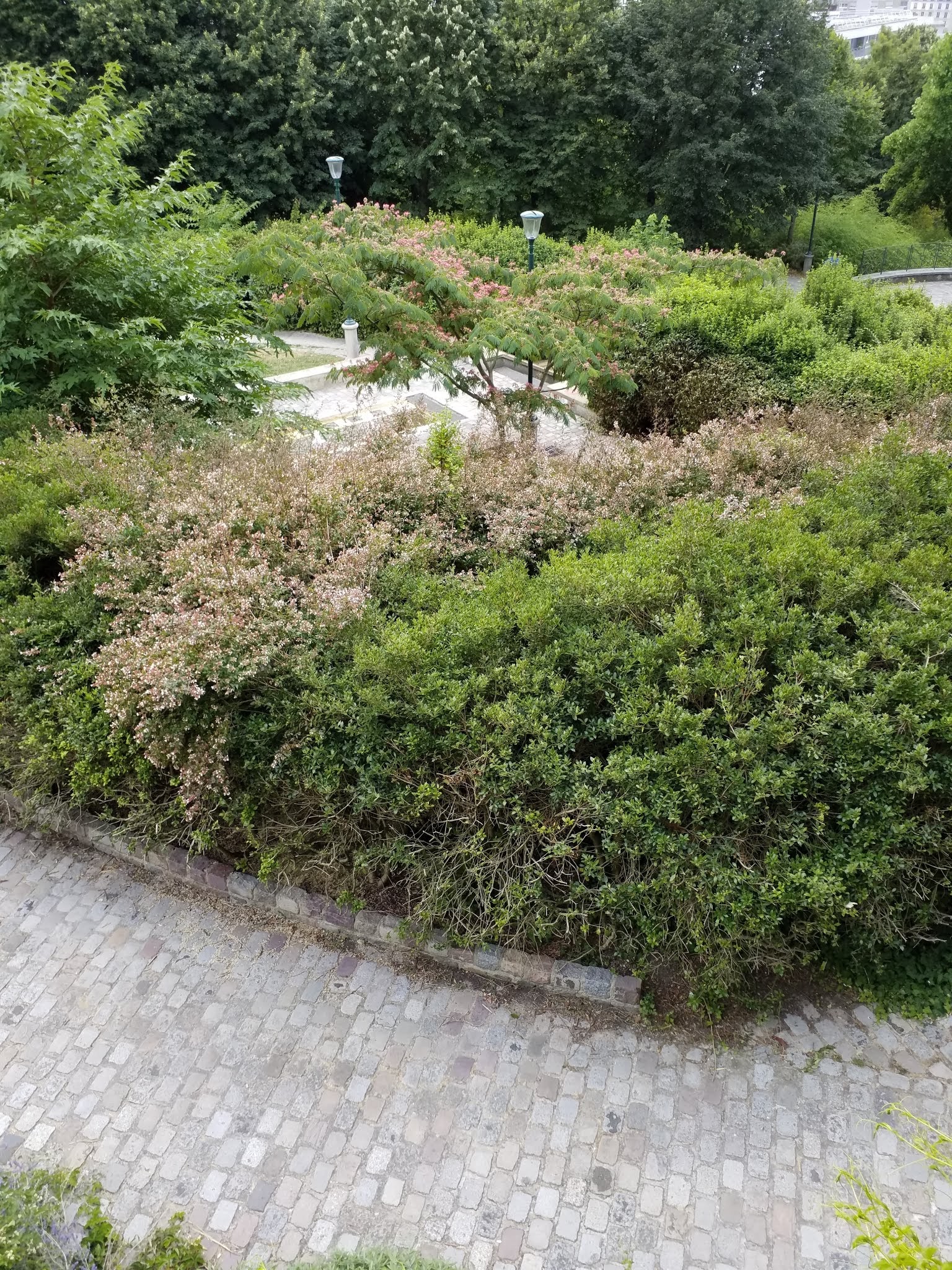 Photo n° 3 de l'avis de Marcos.U fait le 14/07/2018 à 14:02