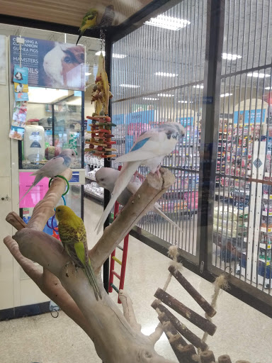 Pet Supply Store «PetSmart», reviews and photos, 828 Arnold Commons Dr, Arnold, MO 63010, USA