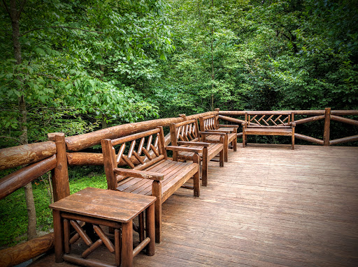 National Park «Shenandoah National Park», reviews and photos