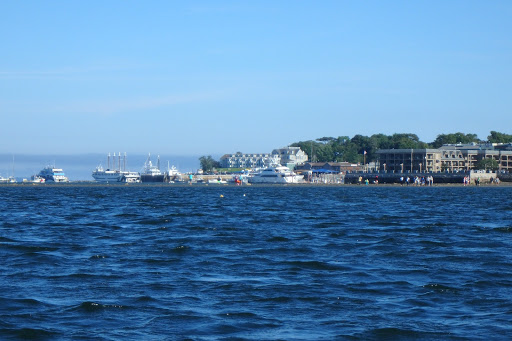 Tourist Information Center «Coastal Kayaking Tours Inc», reviews and photos, 48 Cottage St, Bar Harbor, ME 04609, USA