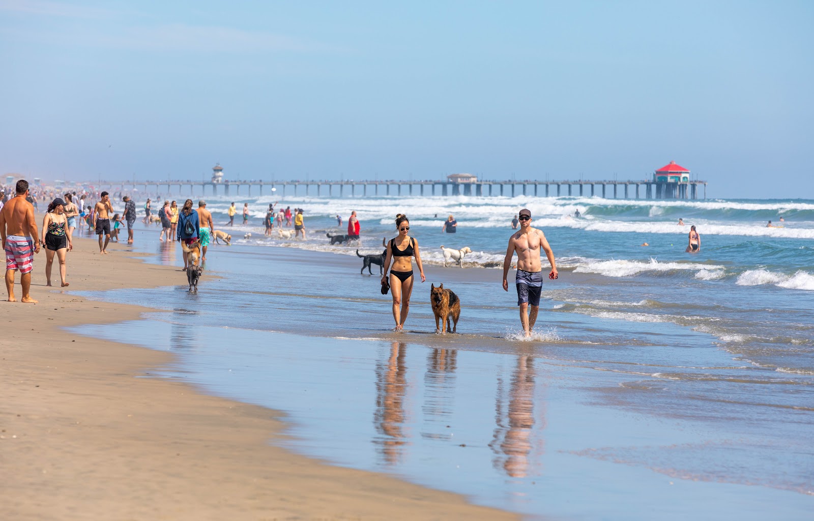 Huntington Dog Beach的照片 - 受到放松专家欢迎的热门地点