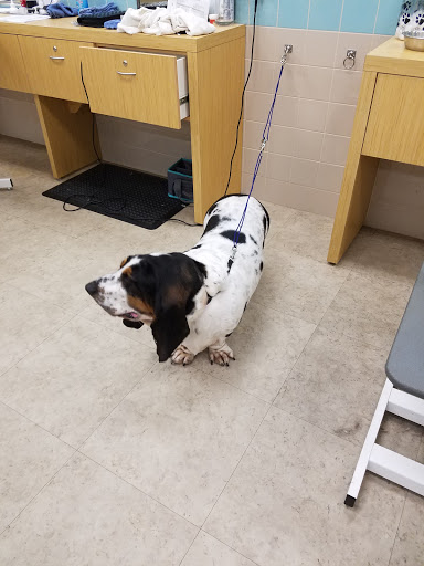 Pet Supply Store «Petco Animal Supplies», reviews and photos, 129 Mall Way, Marysville, WA 98270, USA