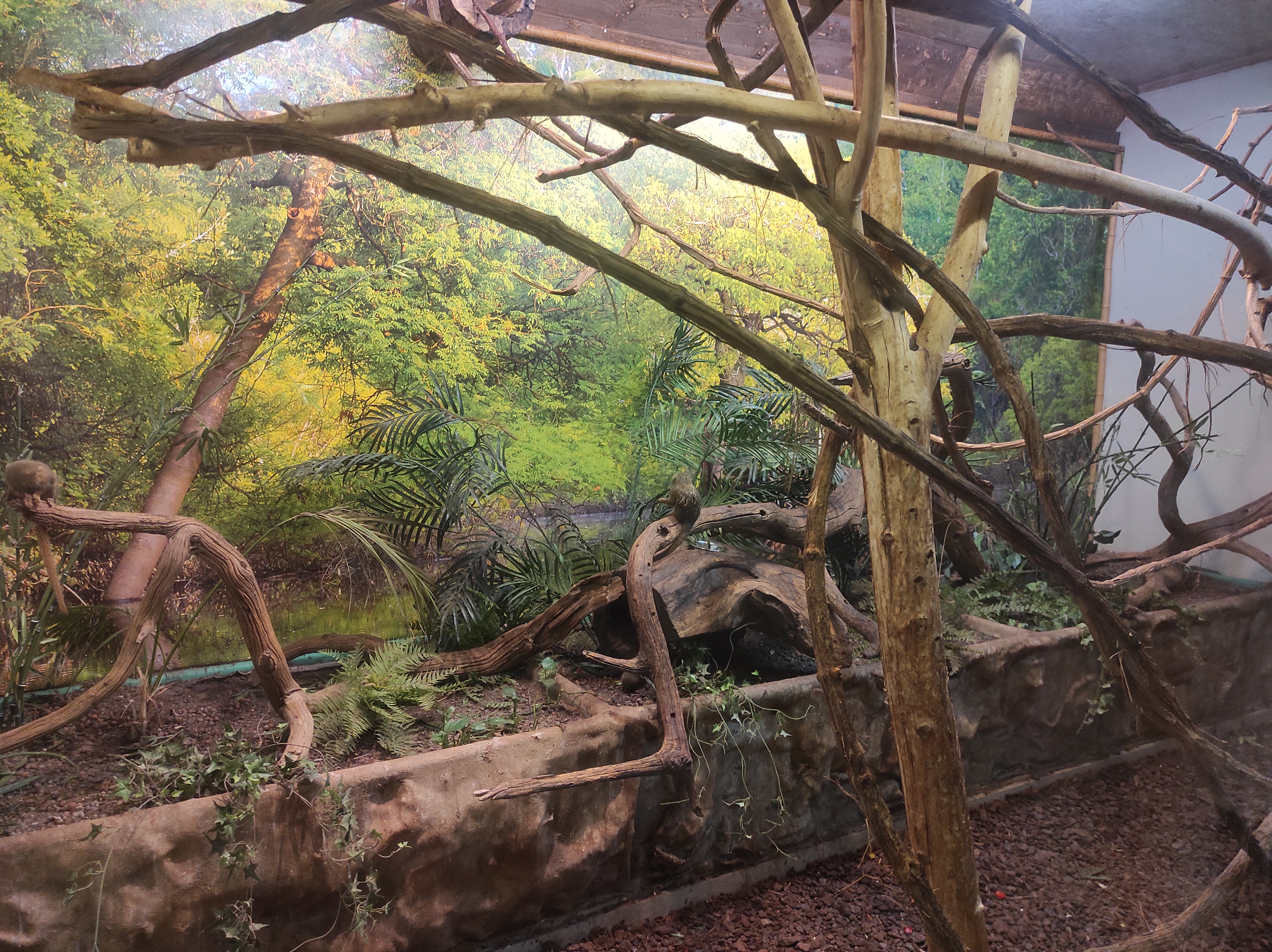 Photo n° 11 de l'avis de Nathalys.a fait le 28/07/2023 à 09:37