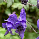 Photo n°9 de l'avis de mirco.o fait le 28/08/2021 à 14:11 sur le  Hotel Drumlerhof à Sand in Taufers