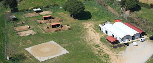 Equihealth Veterinarios S.l en La Roca del Vallès