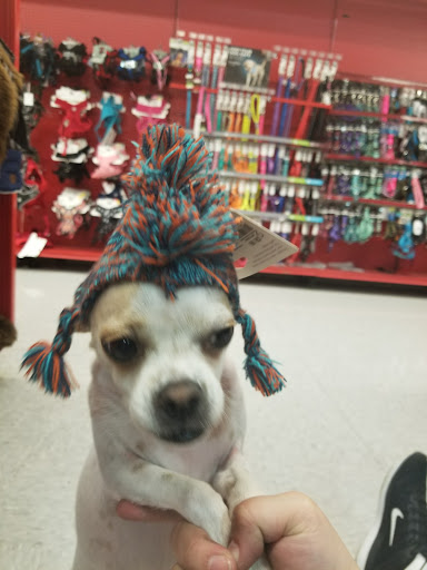 Pet Supply Store «Petco Animal Supplies», reviews and photos, 5843 N Elizabeth St, Pueblo, CO 81008, USA