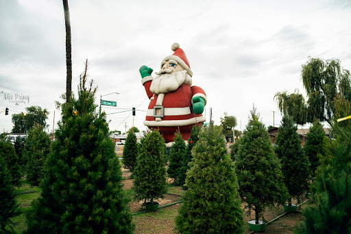 Kraemer Christmas Trees