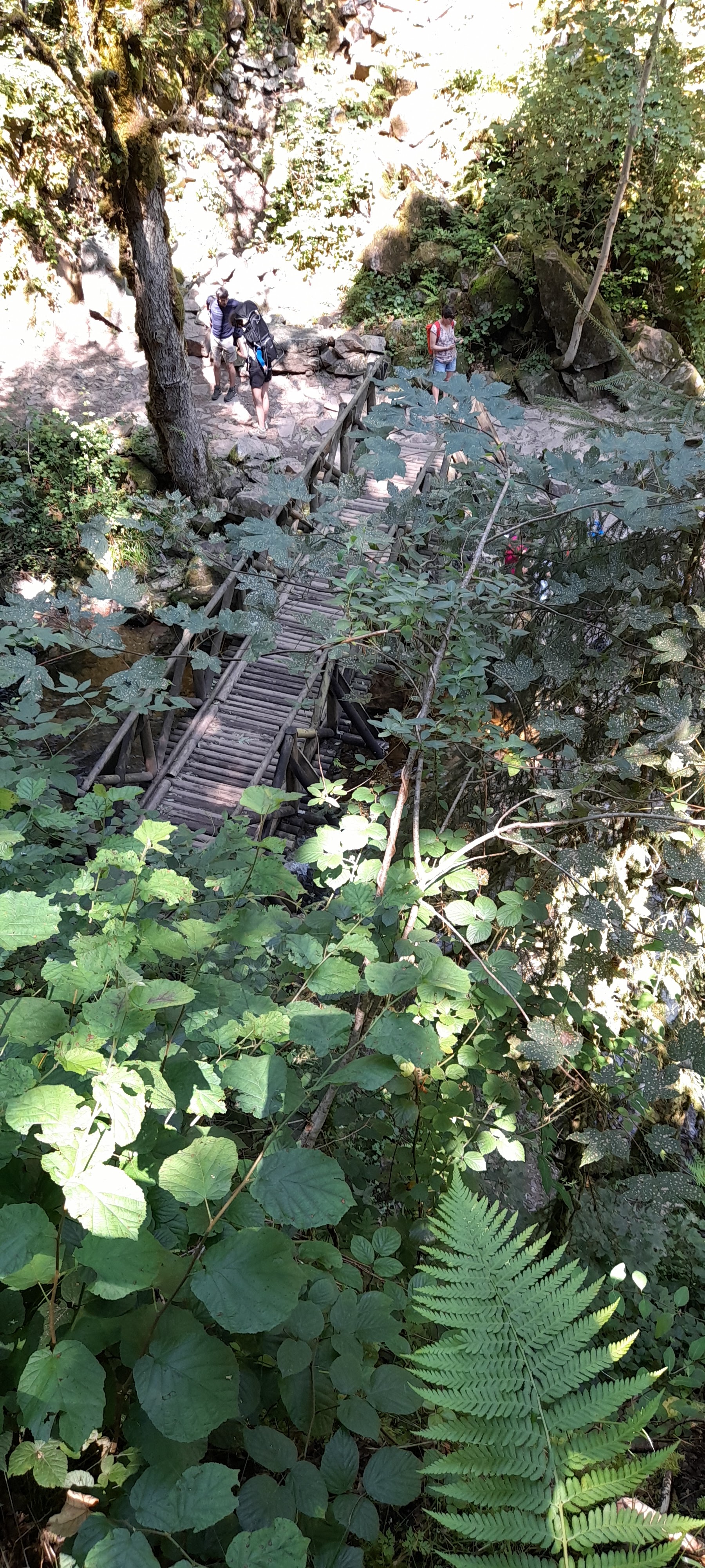 Photo n° 5 de l'avis de Philippe.e fait le 11/08/2021 à 14:59