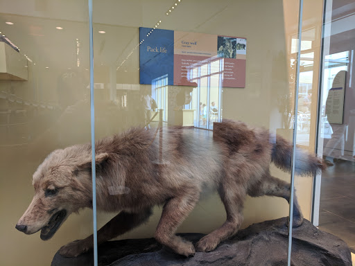 Museum «Delaware Museum of Natural History», reviews and photos, 4840 Kennett Pike, Wilmington, DE 19807, USA