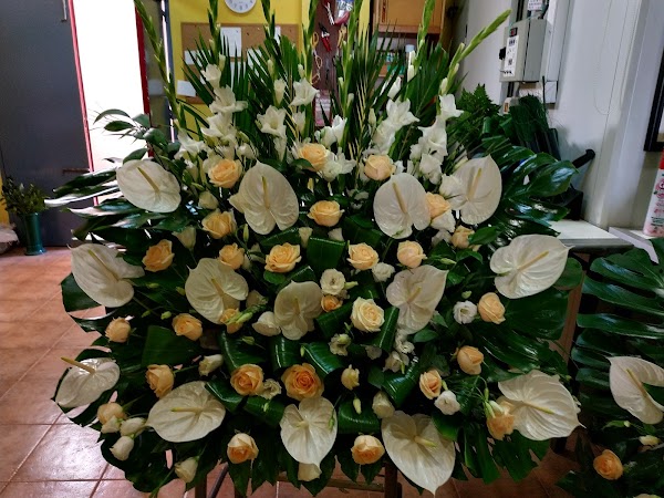Floristería Encarna