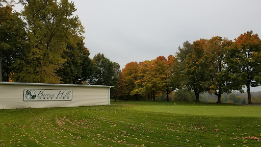 Golf Course «Berrien Hills Golf Club», reviews and photos, 690 W Napier Ave, Benton Harbor, MI 49022, USA