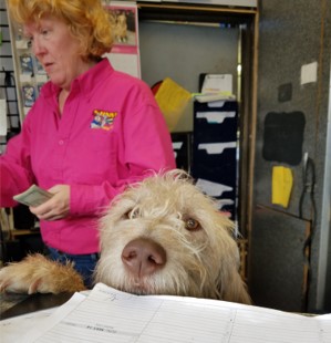 Auto Repair Shop «Sunny Sunoco», reviews and photos, 7701 Ventnor Ave, Margate City, NJ 08402, USA