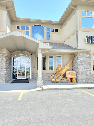 All Creatures Veterinary Hospital