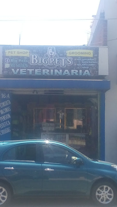 Veterinaria BIG PETS