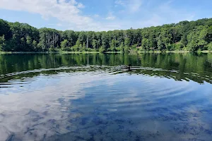 Jezioro Kociołek Punkt Widokowy image