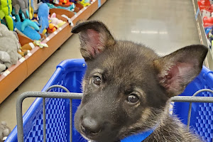 PetSmart