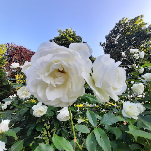 Heil und Kräutergarten