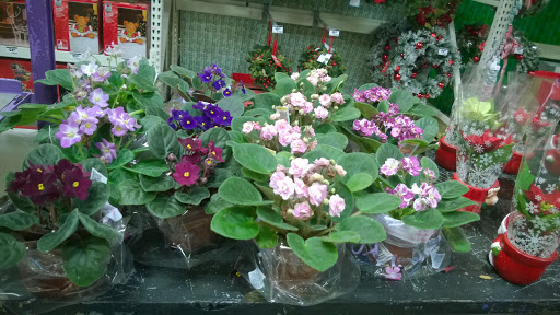 Home Improvement Store «The Home Depot», reviews and photos, 2912 S Elm-Eugene St, Greensboro, NC 27406, USA