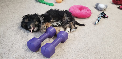 Pet Store «Liberty Agway Pet Center», reviews and photos, 11 Bon Jovi Ln, Liberty, NY 12754, USA