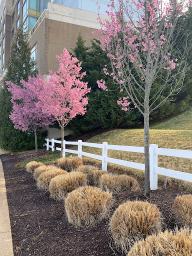 Tourist Attraction «National Harbor», reviews and photos, 165 Waterfront St, Oxon Hill, MD 20745, USA