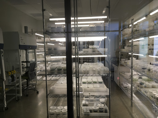 Botanical Garden «Atlanta Botanical Garden», reviews and photos, 1345 Piedmont Ave NE, Atlanta, GA 30309, USA