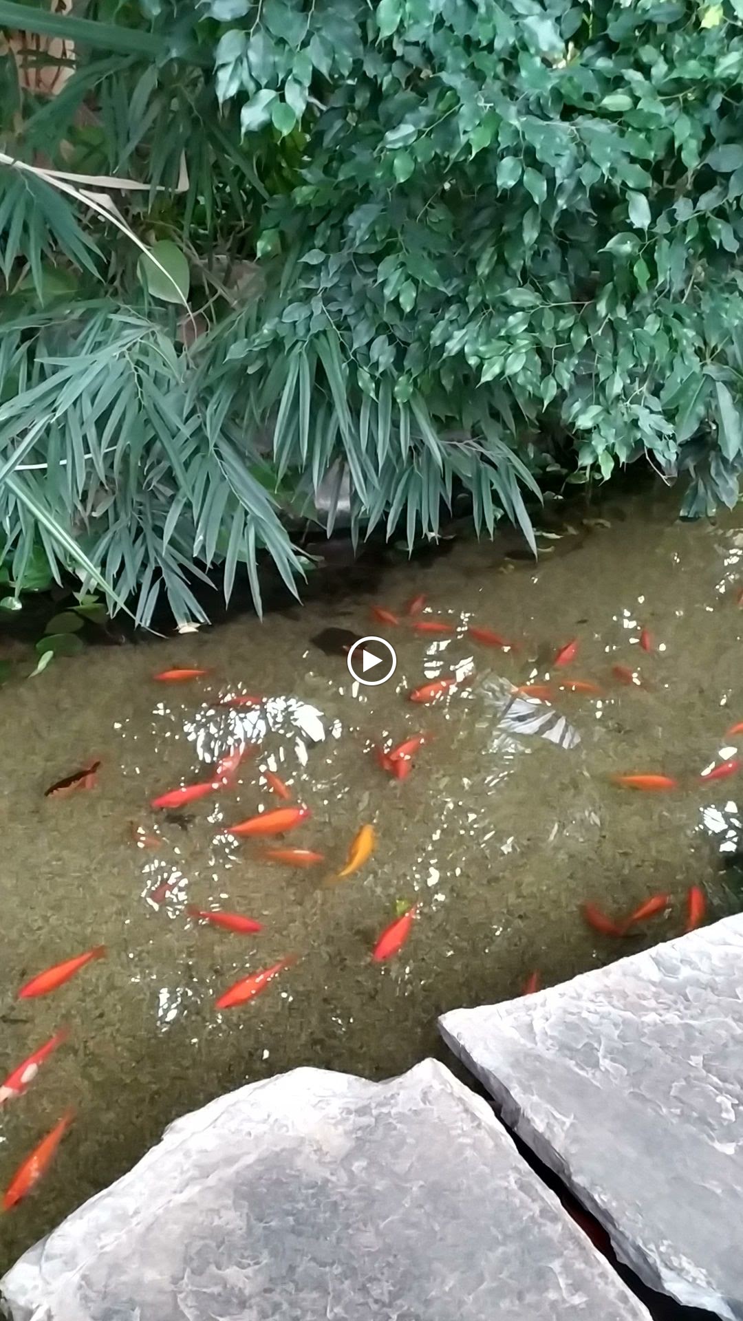 Photo n° 1 de l'avis de Edmond.i fait le 16/01/2024 à 17:50