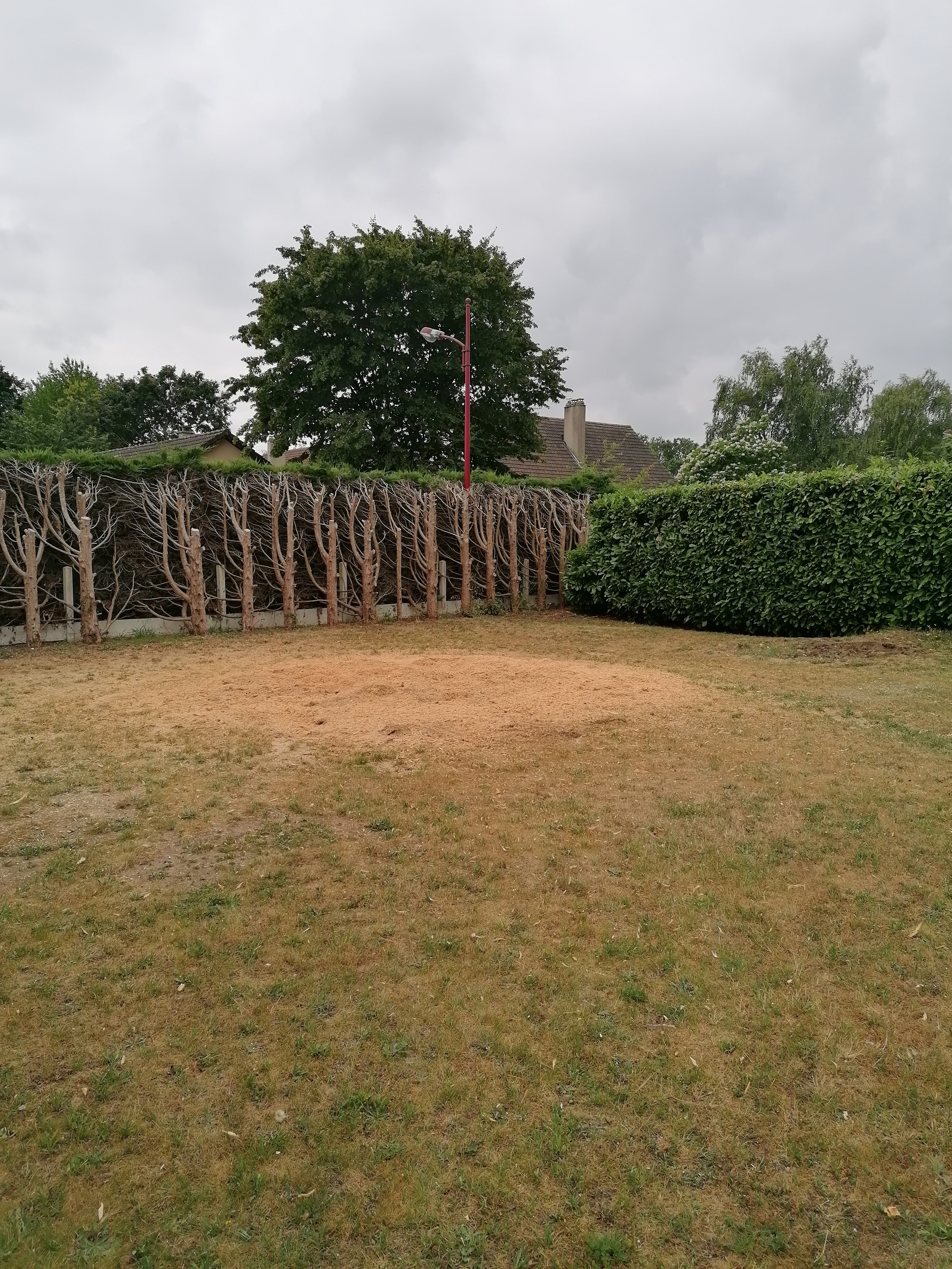 Photo n° 2 de l'avis de Sam.e fait le 29/06/2023 à 16:41