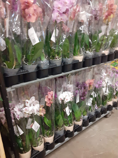 Home Improvement Store «The Home Depot», reviews and photos, 9585 OH-14, Streetsboro, OH 44241, USA