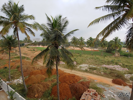 Google Maps image 17