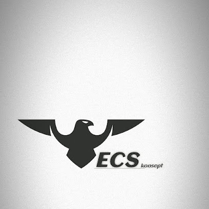 ECS konsept