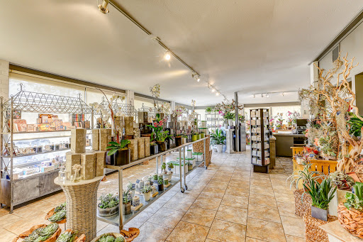 Florist «Dr Delphinium Flower & Orchid House», reviews and photos, 513 W Campbell Rd, Richardson, TX 75080, USA