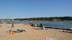 Photo de Dalmatia beach - endroit populaire parmi les connaisseurs de la détente