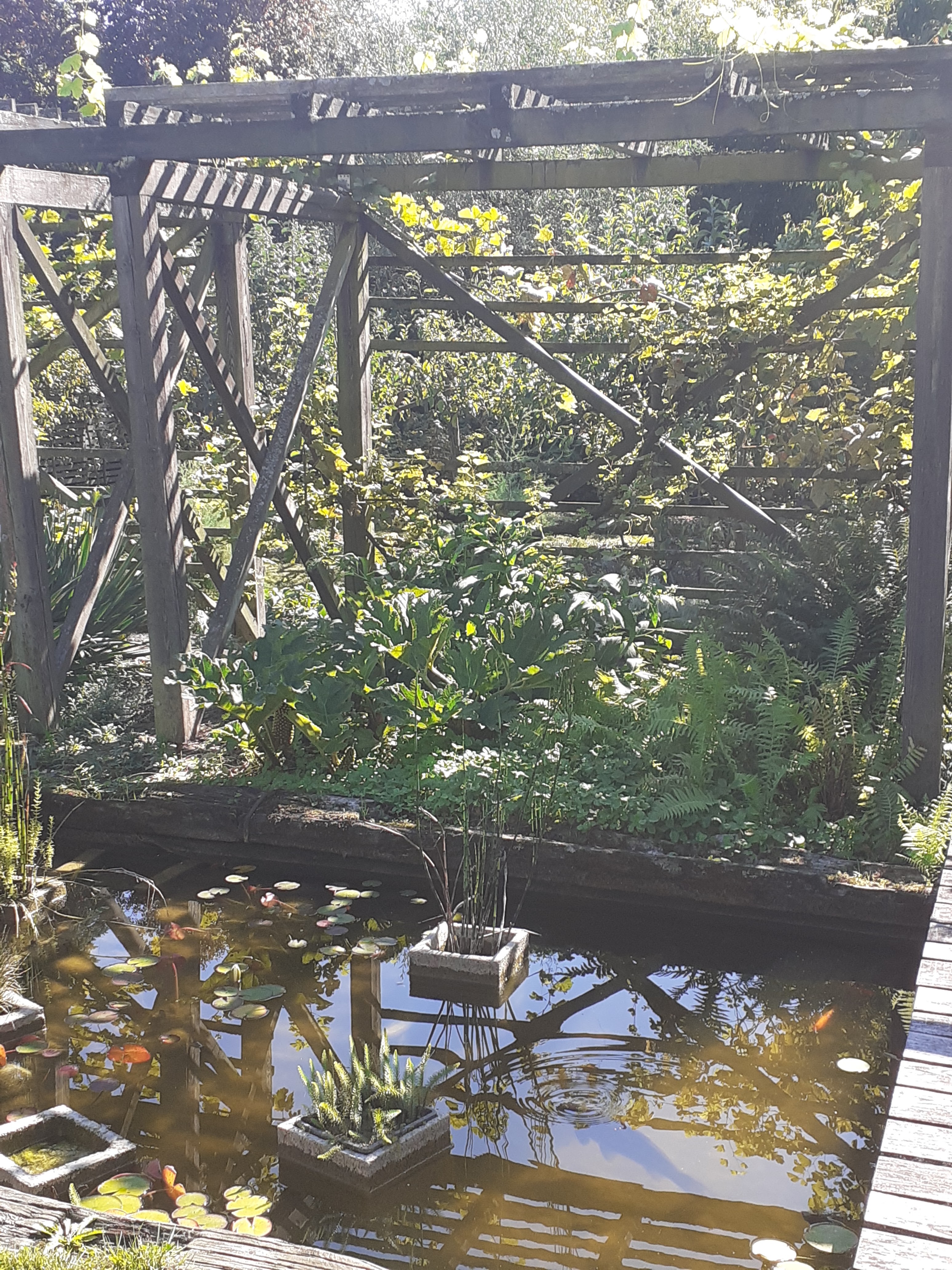 Photo n° 4 de l'avis de Vanessa.i fait le 31/07/2019 à 20:57