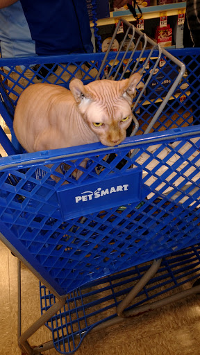 Pet Supply Store «PetSmart», reviews and photos, 985 Erica Ln, Yorkville, IL 60560, USA