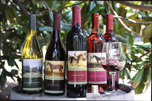 Event Venue «Belle Meade Plantation», reviews and photos, 5025 Harding Pike, Nashville, TN 37205, USA