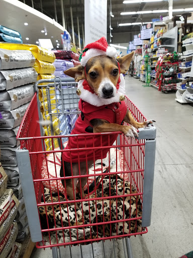 Pet Supply Store «Pet Club Santa Rosa», reviews and photos, 1935 Santa Rosa Ave, Santa Rosa, CA 95407, USA