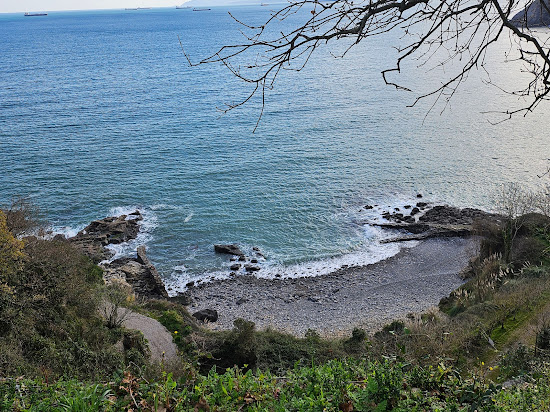Cala de Miono