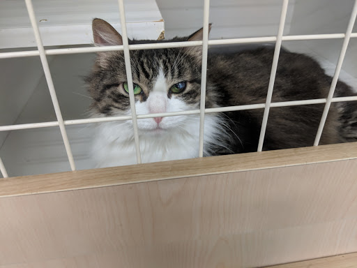 Pet Supply Store «Petco Animal Supplies», reviews and photos, 10 Waterfront Pl, Port Chester, NY 10573, USA